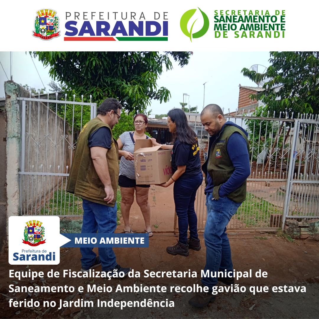 Equipe de Fiscalização da Secretaria Municipal de Saneamento e Meio Ambiente recolhe gavião que estava ferido no Jardim Independência